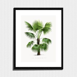 Art Print, Green Palm Tree Botanical Painting